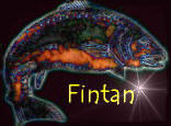 fintanflare.jpg (6396 bytes)